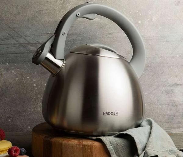 Какой чайник лучше купить для газовой плиты: выбор подходящей модели по критериям и рейтингу Какой чайник лучше купить для газовой плиты: выбор подходящей модели по критериям и рейтингу