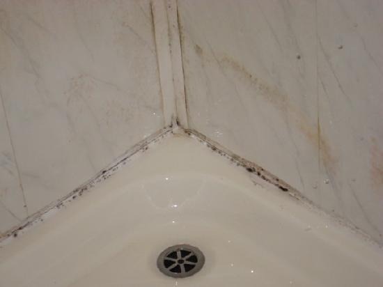 Как и чем удалить старый герметик и нанести новый Как и чем удалить старый герметик и нанести новый