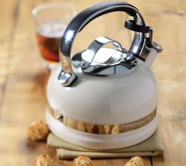 Какой чайник лучше купить для газовой плиты: выбор подходящей модели по критериям и рейтингу Какой чайник лучше купить для газовой плиты: выбор подходящей модели по критериям и рейтингу