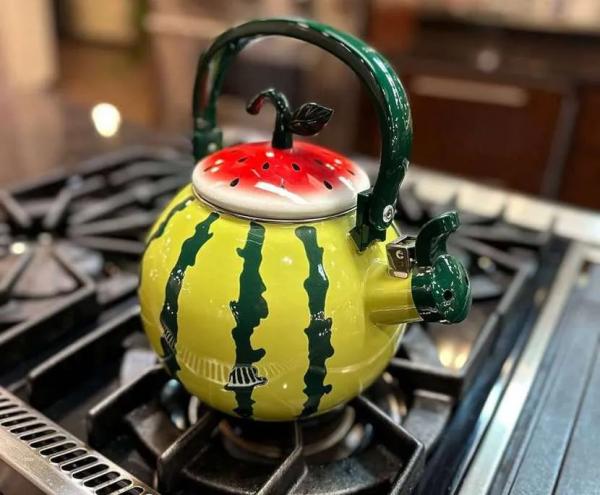 Какой чайник лучше купить для газовой плиты: выбор подходящей модели по критериям и рейтингу Какой чайник лучше купить для газовой плиты: выбор подходящей модели по критериям и рейтингу