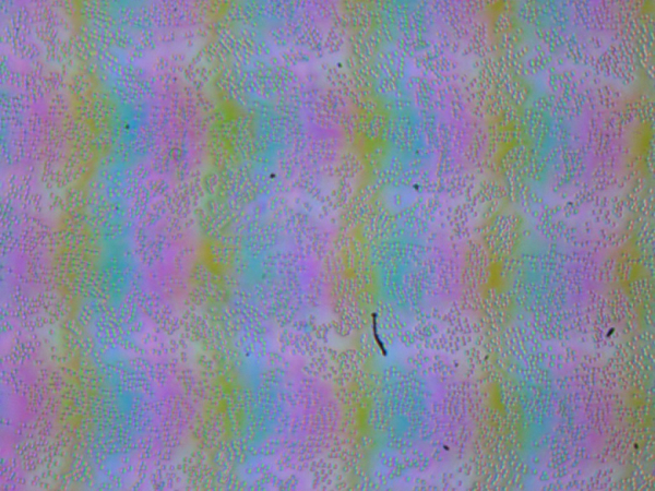 Обзор игрового ноутбука MSI Titan 18 HX AI A2XWJG-076RU с Intel Core Ultra 9 и Nvidia GeForce RTX 5090 Laptop Обзор игрового ноутбука MSI Titan 18 HX AI A2XWJG-076RU с Intel Core Ultra 9 и Nvidia GeForce RTX 5090 Laptop