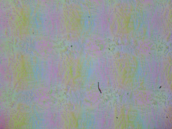 Обзор игрового ноутбука Thunderobot Range 17 Pro