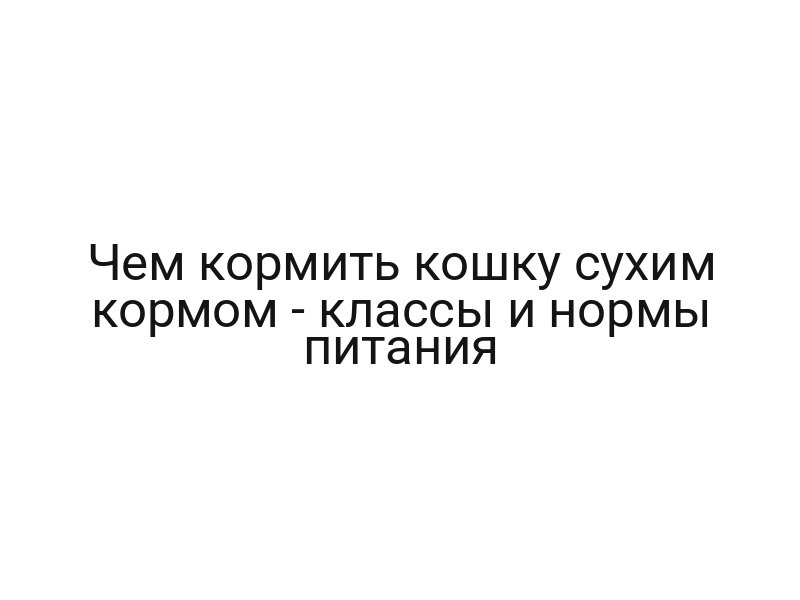 Чем кормить кошку сухим кормом — классы и нормы питания