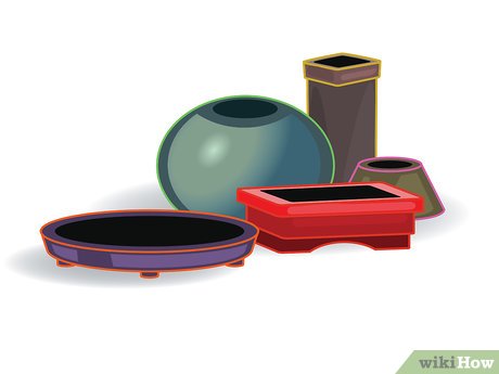 Step 5 Выберите горшок.